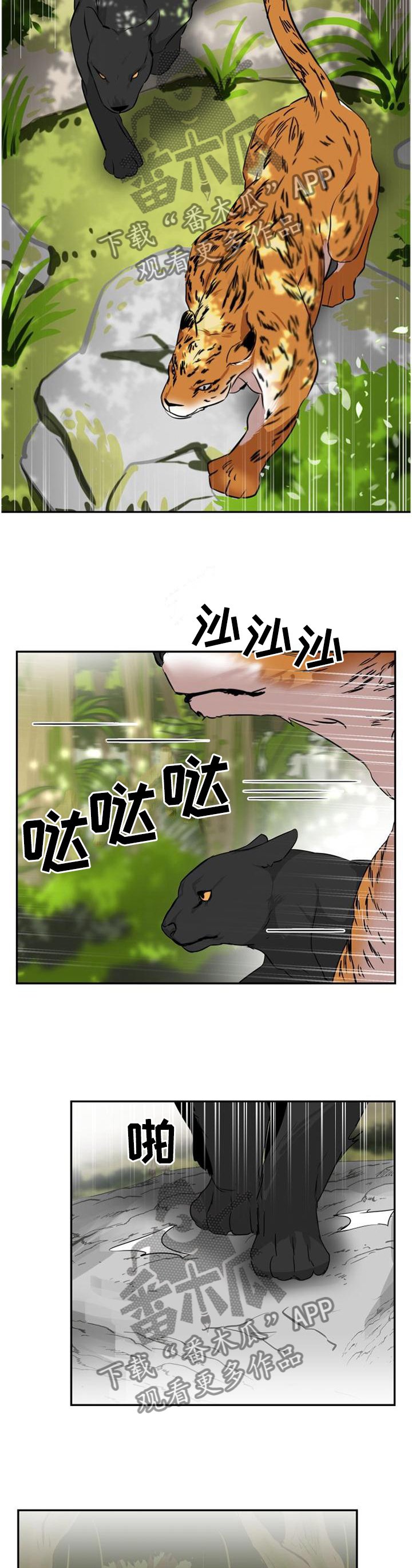 第132章：【第二季】自由的魅力