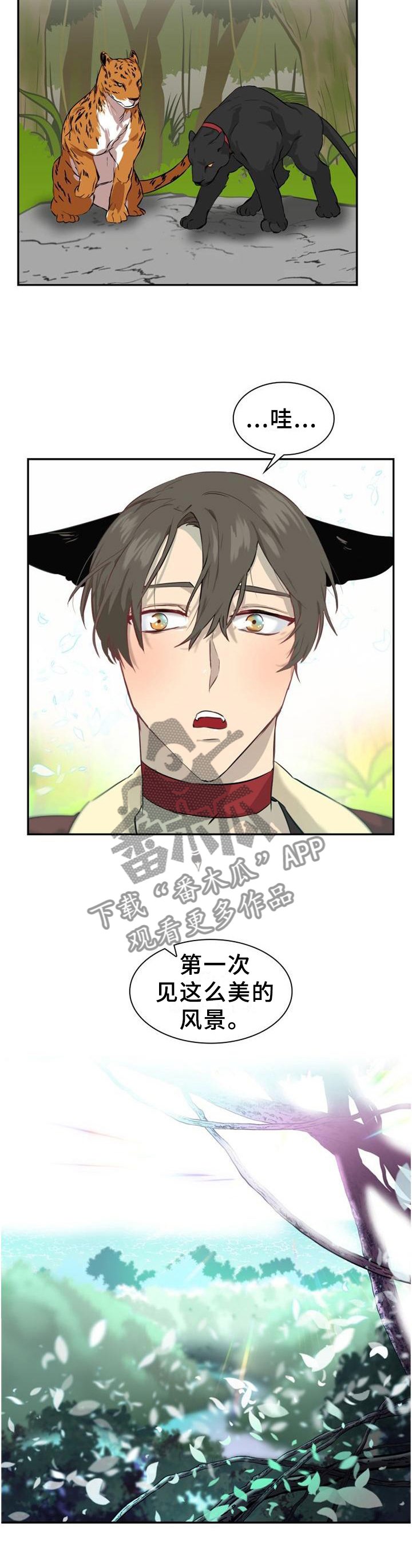 第132章：【第二季】自由的魅力