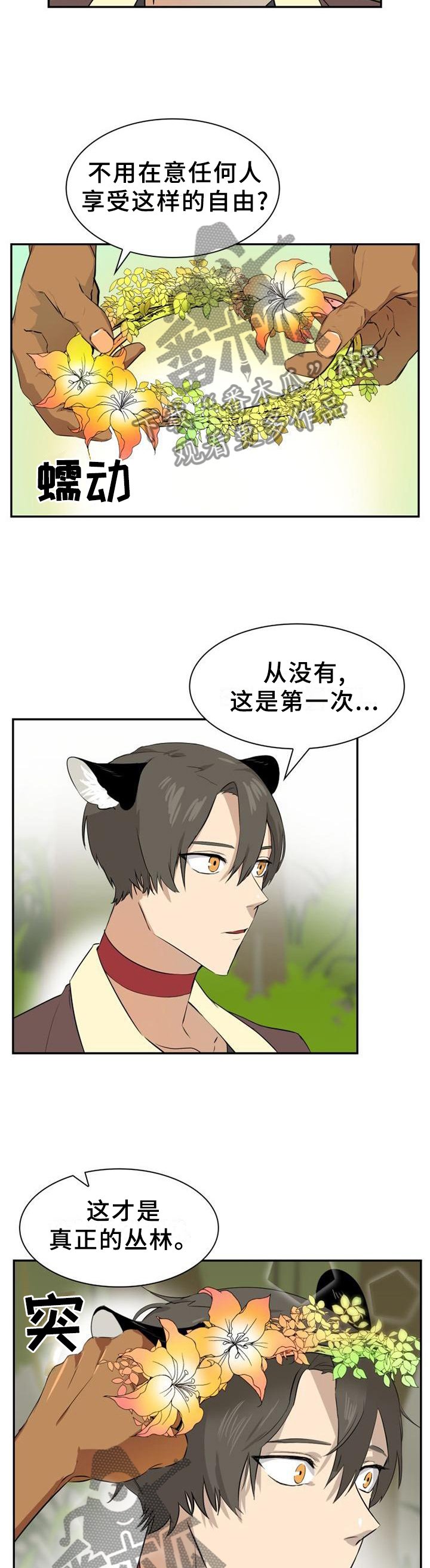 第132章：【第二季】自由的魅力