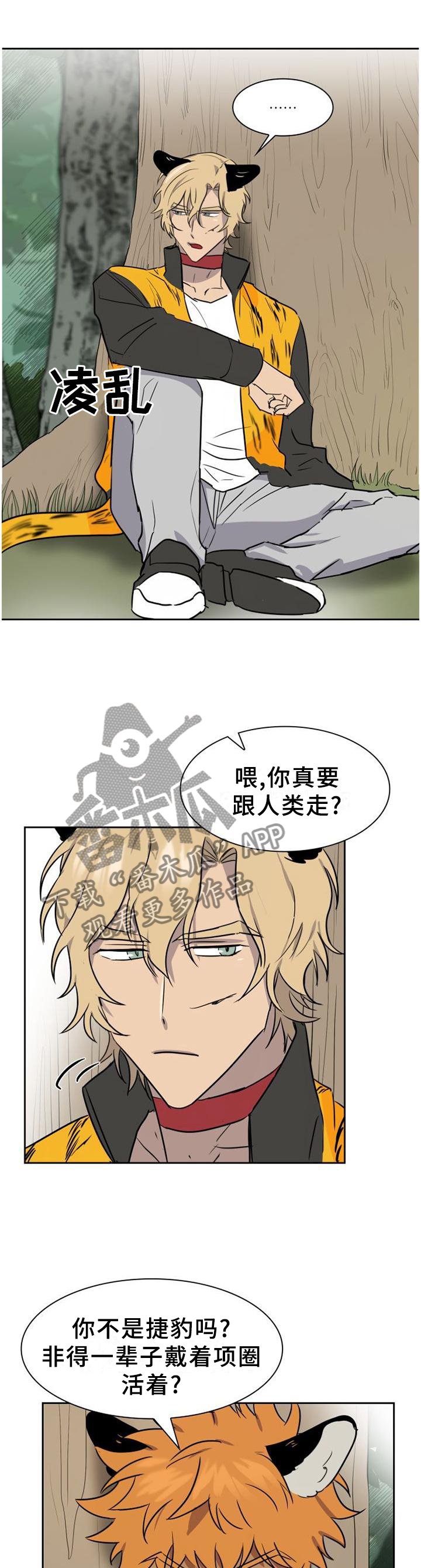 第138章：【第二季】救援