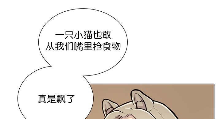 第15章：逃不掉了