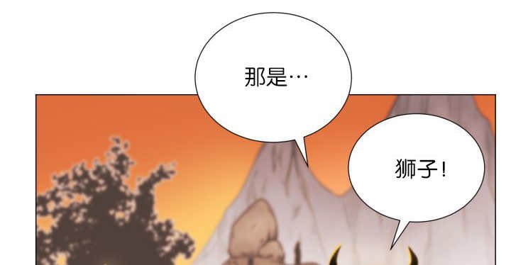 第16章：首选目标