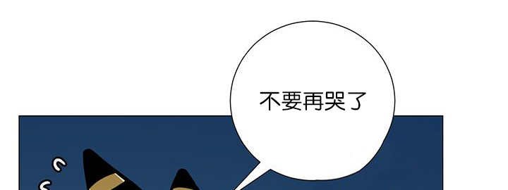 第16章：首选目标