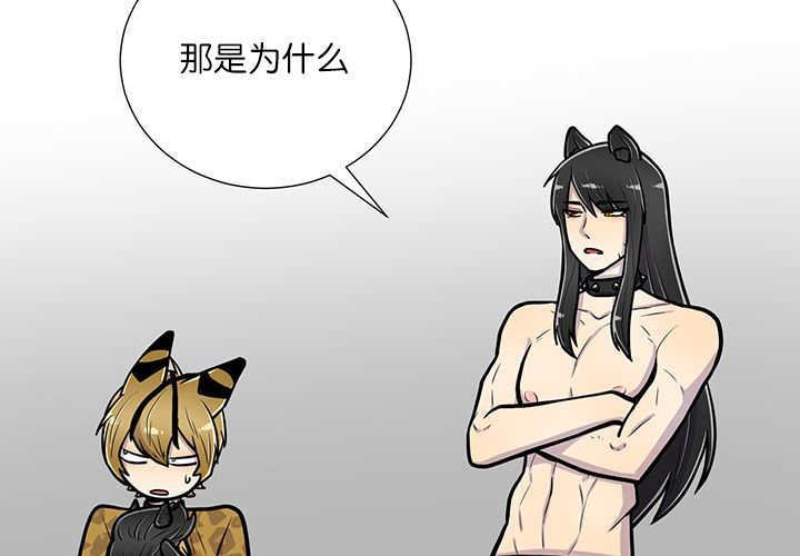 第16章：首选目标