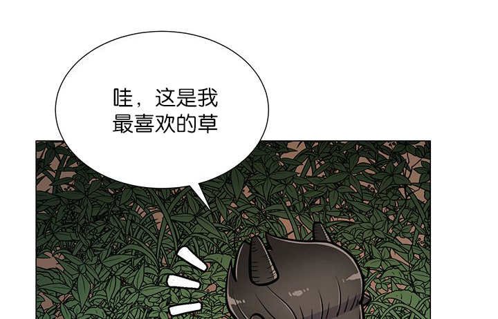 第19章：不会放过