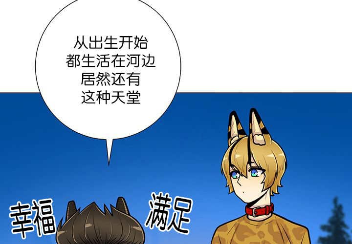 第19章：不会放过