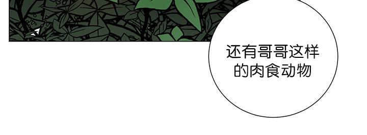 第19章：不会放过