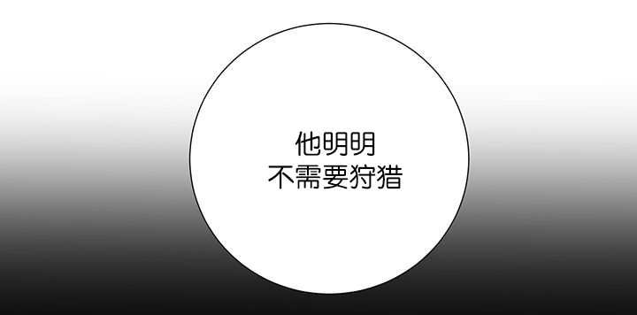 第19章：不会放过
