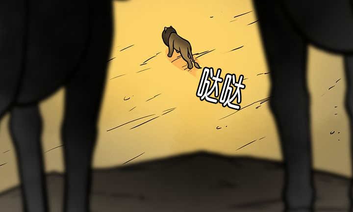 第19章：不会放过