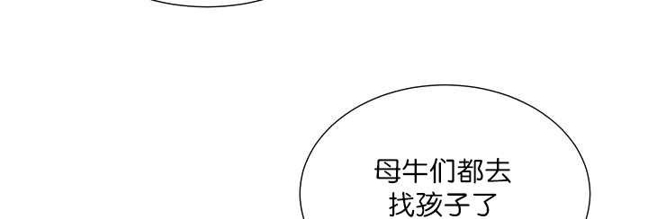 第19章：不会放过