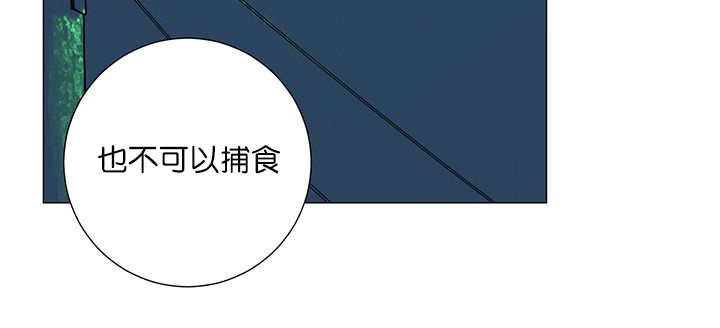 第2章：吃不下我