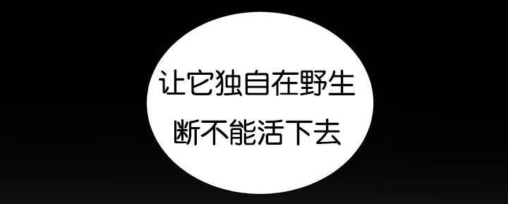 第21章：把他带去