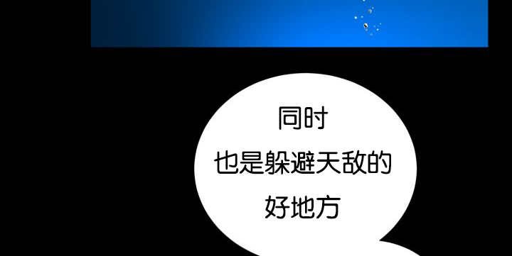 第25章：初次见面