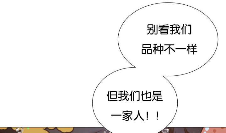 第26章：辛苦你了