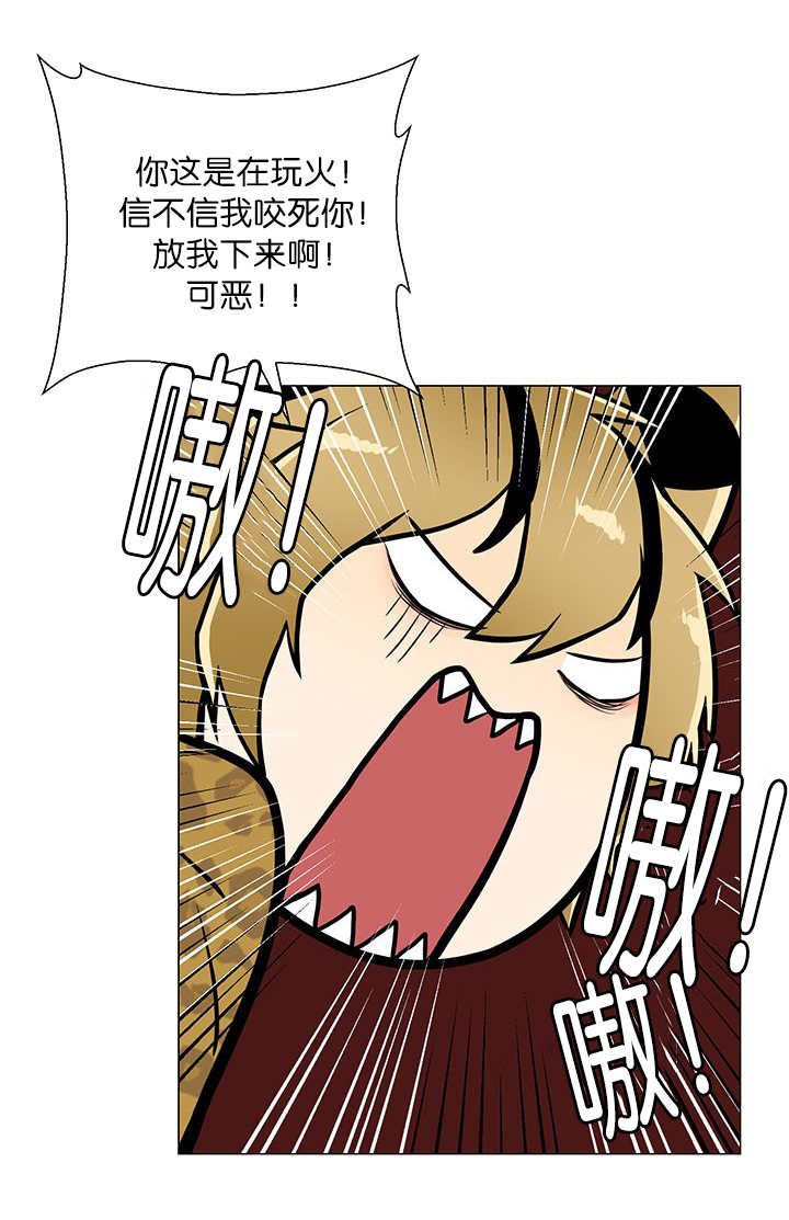 第3章：好好记着