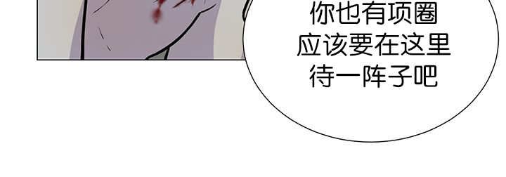 第3章：好好记着