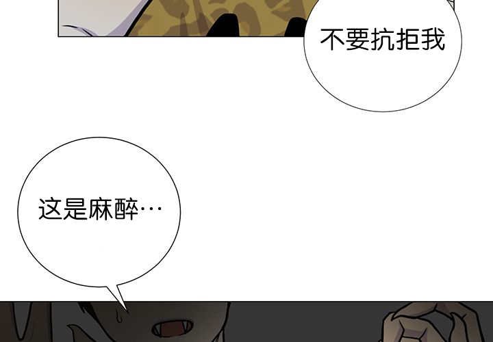 第3章：好好记着