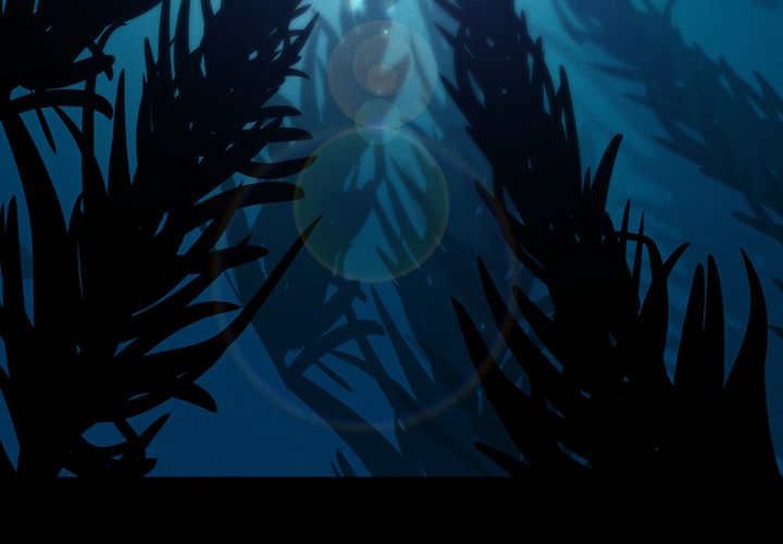 第31章：感觉很好