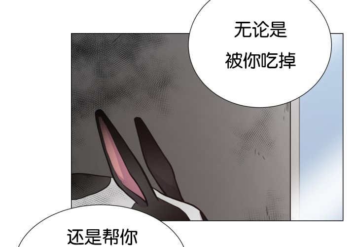 第35章：可以帮你