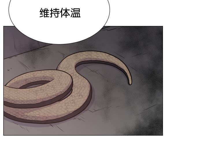 第35章：可以帮你