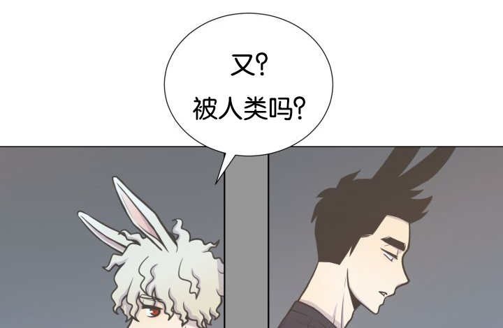 第36章：是爱情吗