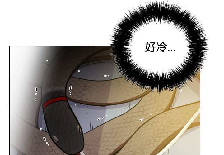 第36章：是爱情吗