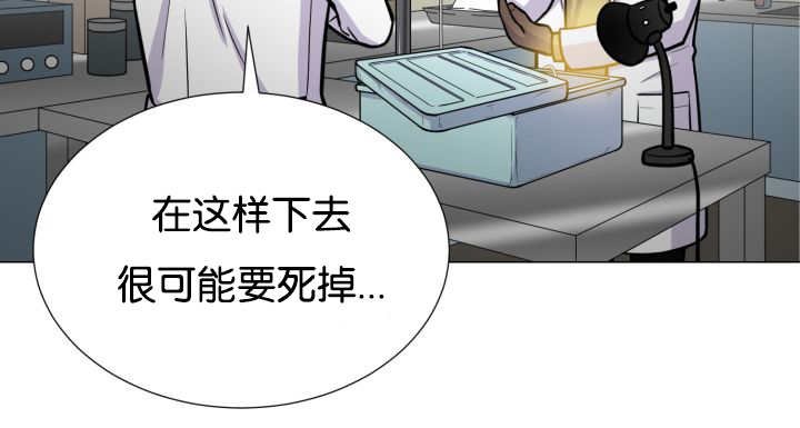 第36章：是爱情吗