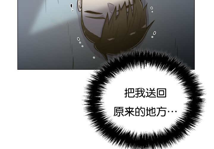第36章：是爱情吗