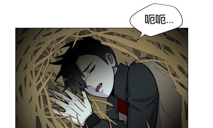 第37章：我喜欢他