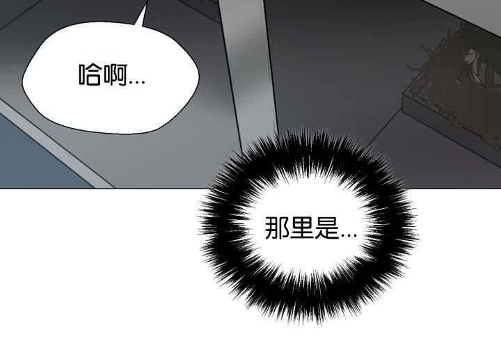 第37章：我喜欢他