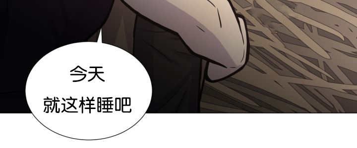 第37章：我喜欢他