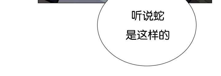 第37章：我喜欢他