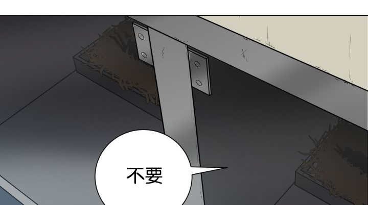 第37章：我喜欢他