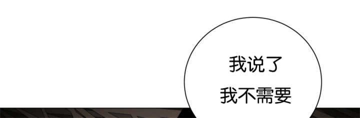 第37章：我喜欢他