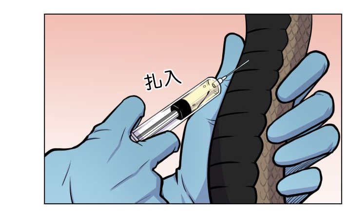 第37章：我喜欢他