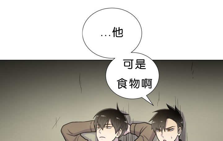 第37章：我喜欢他