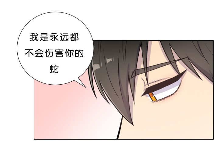 第38章：一直等你