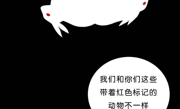 第39章：你还好吧