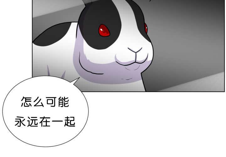 第39章：你还好吧
