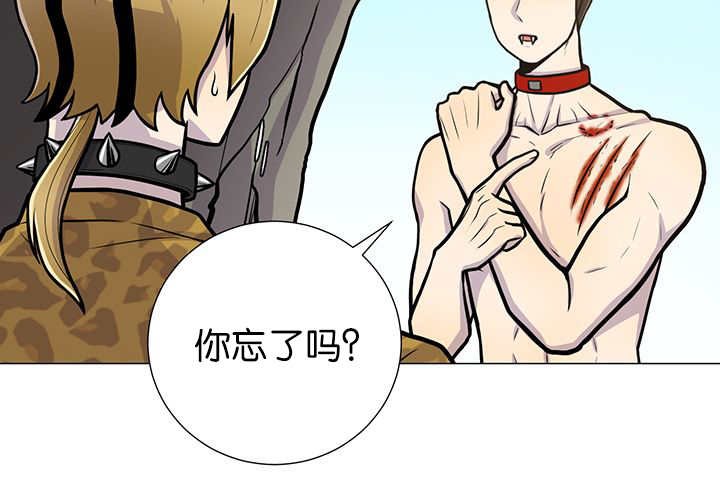 第4章：吓坏了吧