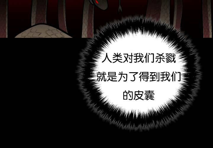 第40章：消失不见