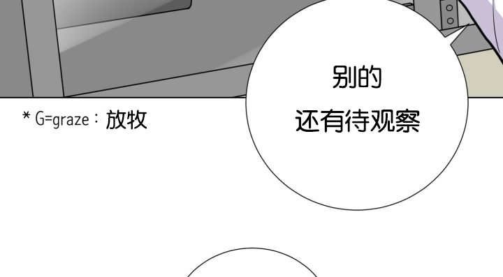 第40章：消失不见