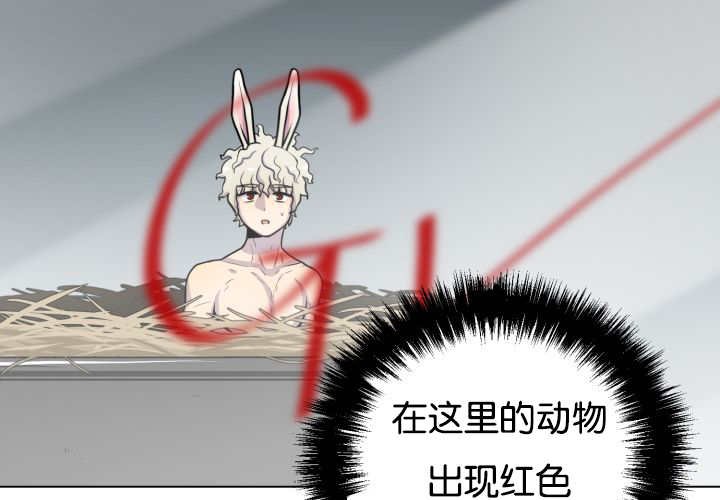 第40章：消失不见