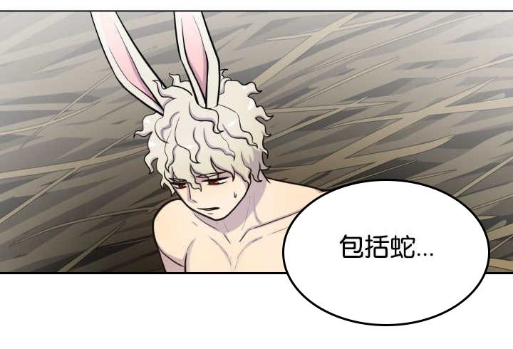 第40章：消失不见