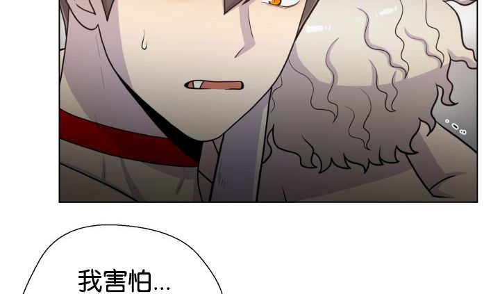 第41章：为你准备