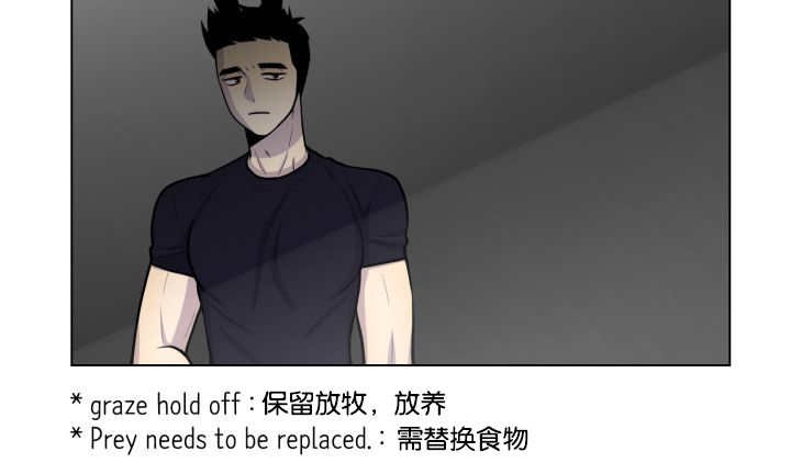 第41章：为你准备