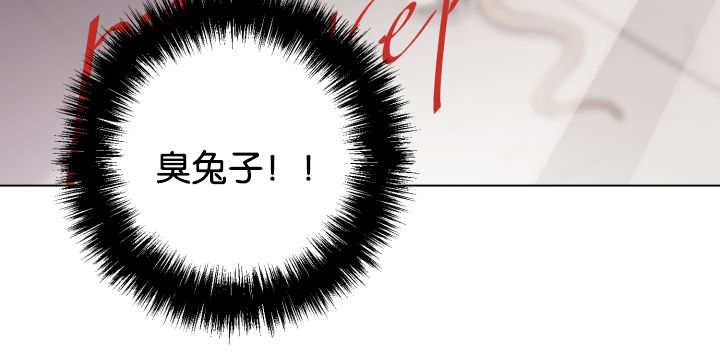 第41章：为你准备