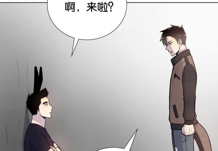 第41章：为你准备