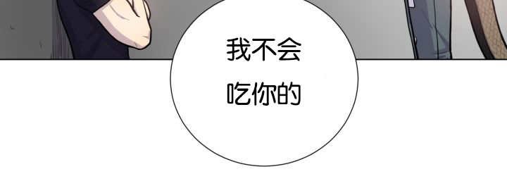 第41章：为你准备