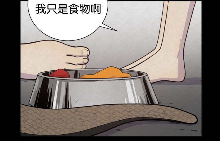 第42章：来温暖你
